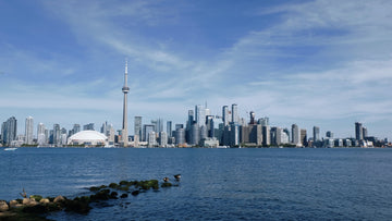 Toronto city skyline with CN tower in background.